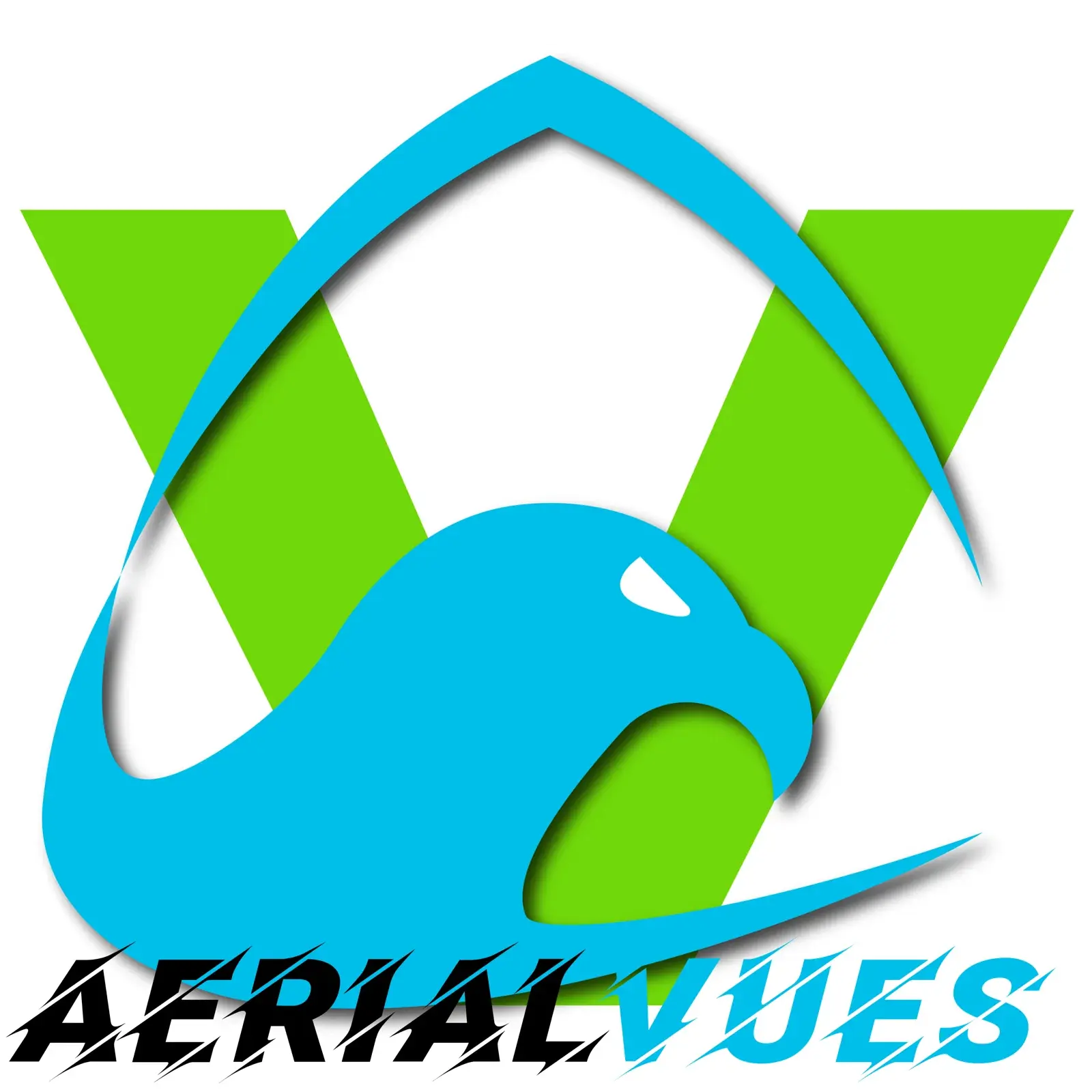 Aerial Vues logo: a sky-blue bird swooping through a green V, over an italic AERIAL VUES wordmark.