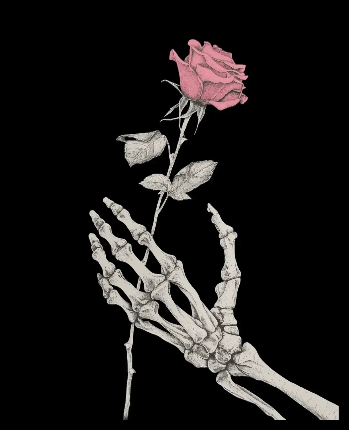 A skeleton hand holding a single pink rose on black.